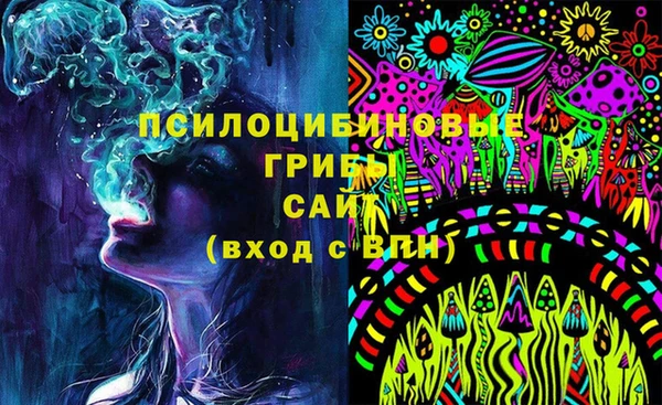 мдпв Балахна