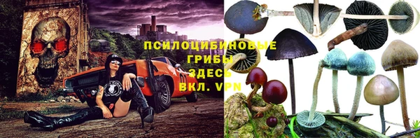 мдпв Балахна